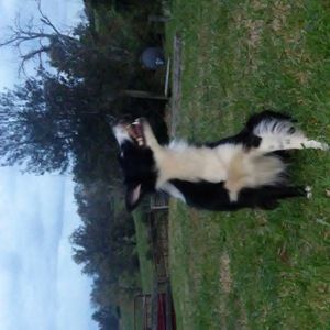 Meet your Posher, Tina